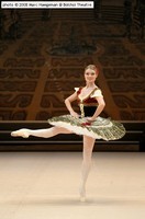 Ballets in one act: Petrushka. Grand Pas from the ballet Paquita. (Classical Ballet) 
Click to enlarge