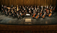 Orchestra of the Novaya Opera Theatre